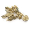 How long do shrooms stay in the system