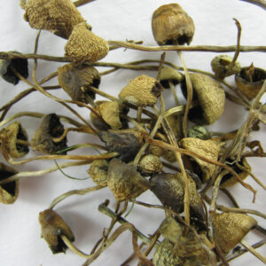 Liberty Caps